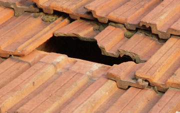 roof repair Grinsdale, Cumbria